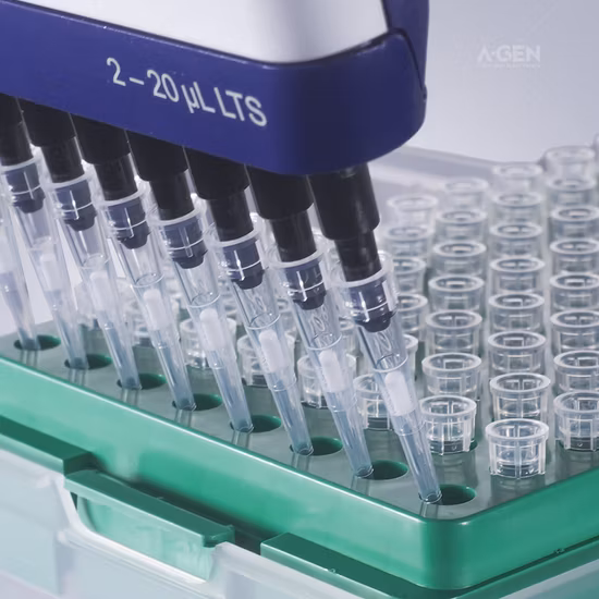 Fabrication en gros de pointes de filtre de pipette électronique mécanique de nature robotique de laboratoire avec barrière contre les aérosols pour le laboratoire Eppendorf